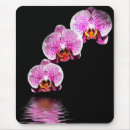 Recherche de phalaenopsis tapis souris Nature