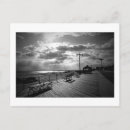 Search for coney island postcards City