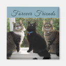 Search for live forever magnets Animals