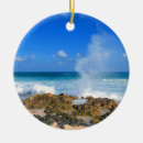 Search for cozumel ornaments Ocean