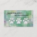Recherche de patte photographie Chien