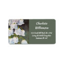 Search for lady bug return address labels Watercolor