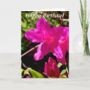 Search for azalea cards Floral