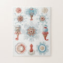 Search for marine life puzzles Ernst haeckel