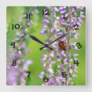 Recherche de fleur lilas horloges Violet