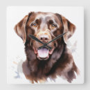 Recherche de labrador retriever horloges Chocolat