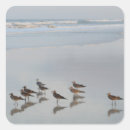 Search for sunset beach stickers Surf