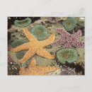 Search for westmorland postcards Ocean