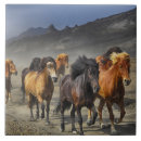 Search for horse tiles Nature