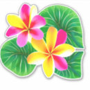 Search for white plumeria stickers Aloha