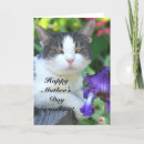 Recherche de gatos vœux cartes Chats