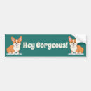 Search for corgi bumper stickers Dog