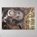 Search for dog christmas art Pets