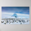 Search for emperor penguin posters Ice