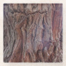 Recherche de troncs dessous de verres Pour tous