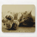 Recherche de minou mignon tapis souris Animaux
