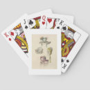 Search for costume playing cards 19th