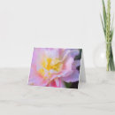 Search for photographs note cards Photography