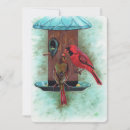 Search for cardinal vertical note cards Cardinals