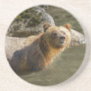 Search for first nations coasters British columbia