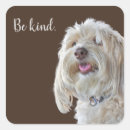 Search for cute poodle stickers Pet