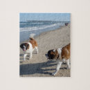 Recherche de st bernard puzzles Chiot