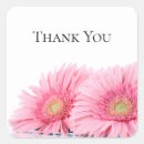 Search for gerbera stickers Daisies