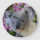 Recherche de orchidée sauvage horloges Ours