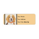 Search for cute beagle return address labels Hound