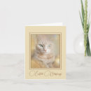 Search for happy cat easter cards Kitten