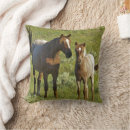 Search for horse pillows Foal