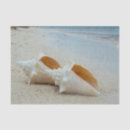 Search for sandy gift wrap Aquatic