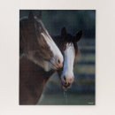 Recherche de cheval de clydesdale puzzles Bob langrish