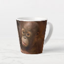 Recherche de zoo tasses Forêt tropicale