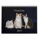Search for funny cat calendars Kitty