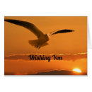 Search for flying bird cards Nature