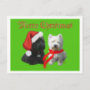 Recherche de scottish highland cartes postales Animaux