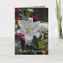 Search for print on demand postcards Do it yourself