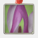 Search for magnolia blossom ornaments Pink