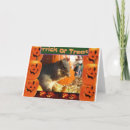 Search for squirrel halloween cards Animal