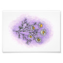 Search for herb illustration posters Flower