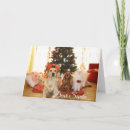 Search for funny dog and cat christmas cards Santa