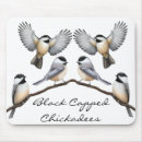 Search for capped chickadee mousepads Chickadees