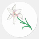 Search for white lily stickers Flower