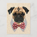 Recherche de pug Animals