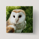 Search for barn animals buttons Cute
