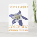 Search for the state flower cards Colorado