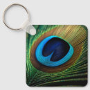 Search for peacock feather square keychains Peafowl