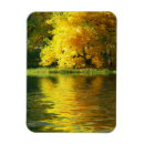 Search for fall background cards Green