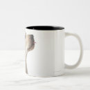 Recherche de labrador retriever tasses Humour